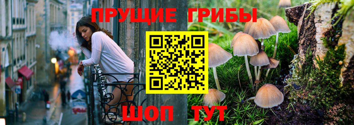 Галлюциногенные грибы прущие грибы Аксай